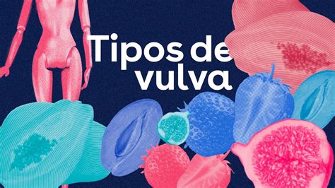 formas de chochos|Tipos de vulva: ¡desúbrelos!